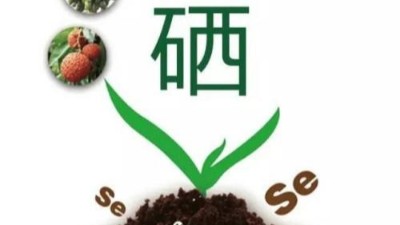 微生物“硒”转化技术为农业产业赋能